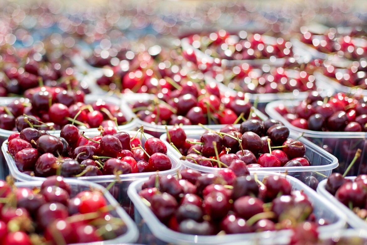 Markt en braderie in Erica brengen gezelligheid en leven in het dorp